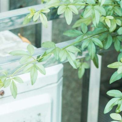 必博app下载地址